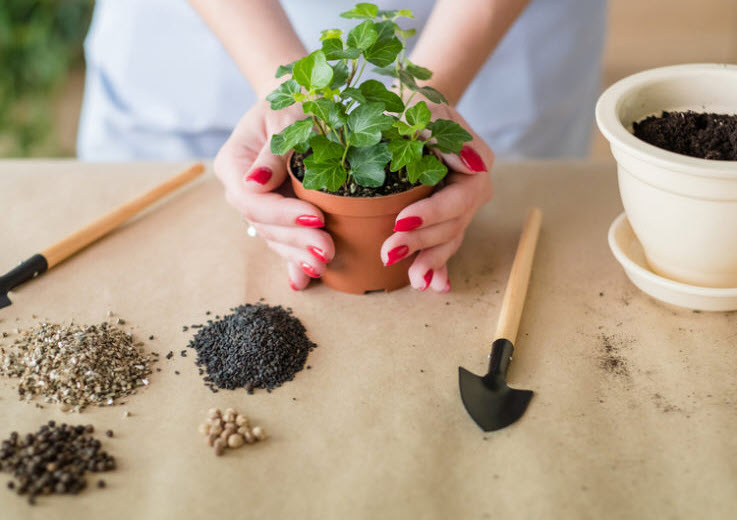 7 Surprising Health Benefits of Gardening & Planting