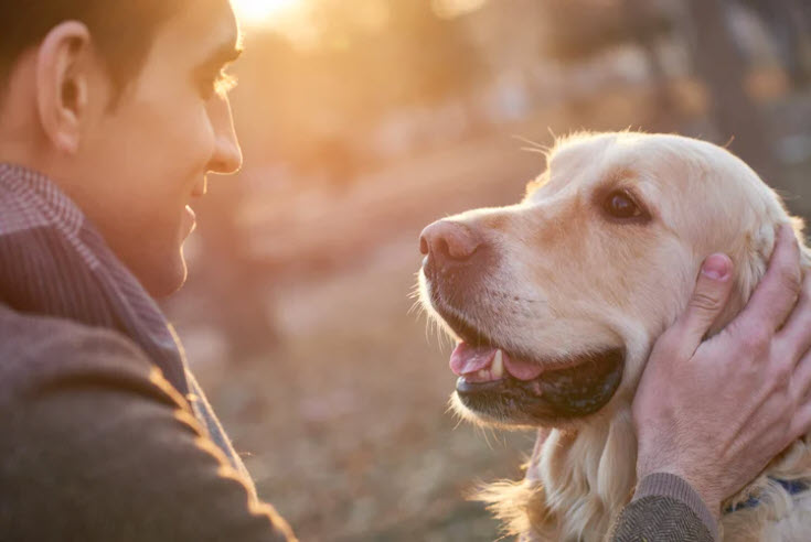 6 Amazing Ways Your Pet Is Making You Healthier